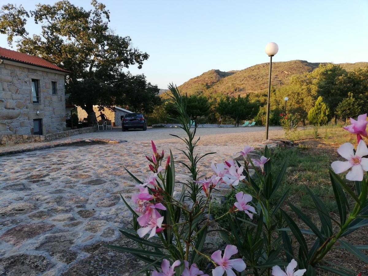 Quinta Dos Carvalhais - Serra Da Estrela Fornos de Algodres Kültér fotó