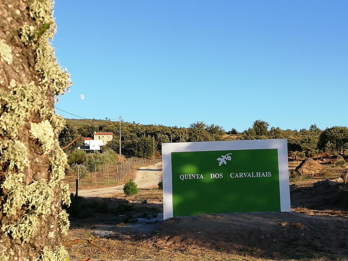 Quinta Dos Carvalhais - Serra Da Estrela Fornos de Algodres Kültér fotó