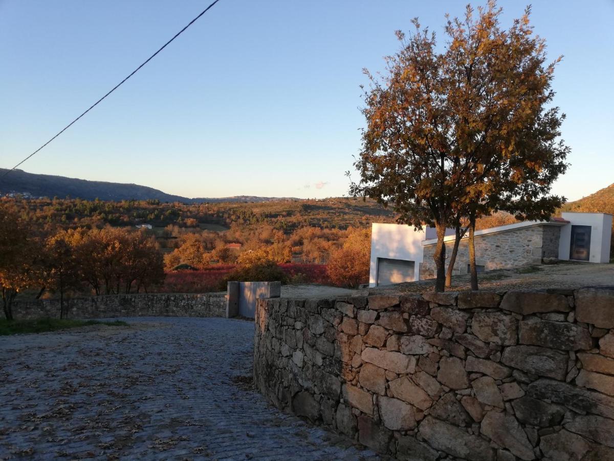 Quinta Dos Carvalhais - Serra Da Estrela Fornos de Algodres Kültér fotó