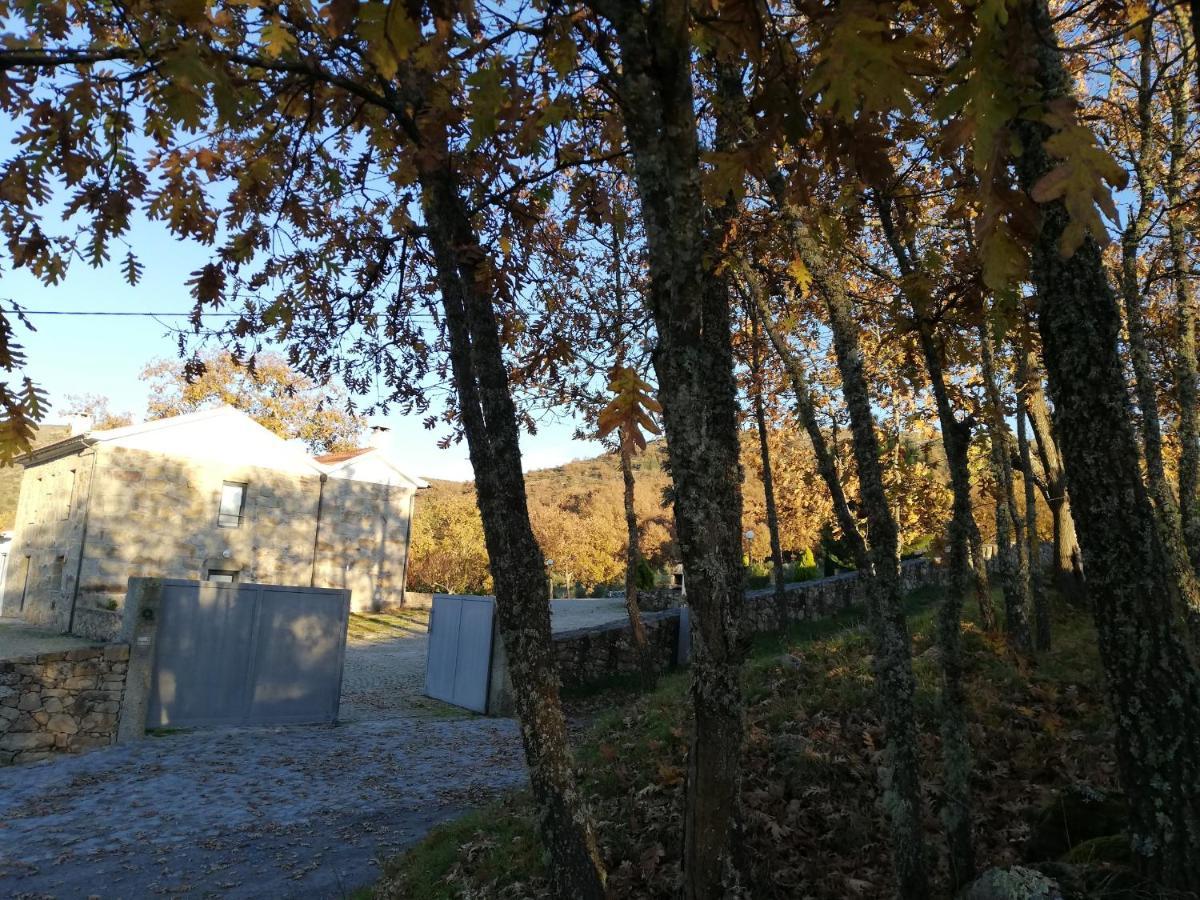 Quinta Dos Carvalhais - Serra Da Estrela Fornos de Algodres Kültér fotó