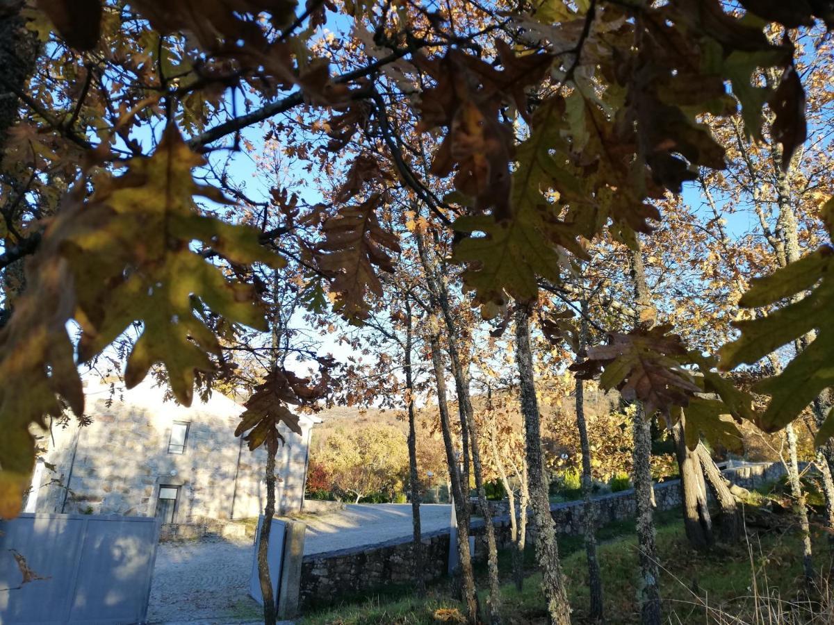 Quinta Dos Carvalhais - Serra Da Estrela Fornos de Algodres Kültér fotó