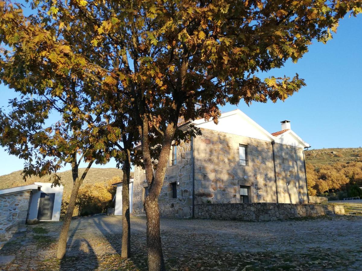 Quinta Dos Carvalhais - Serra Da Estrela Fornos de Algodres Kültér fotó