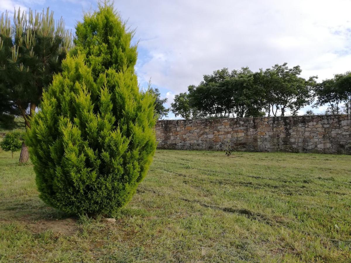 Quinta Dos Carvalhais - Serra Da Estrela Fornos de Algodres Kültér fotó