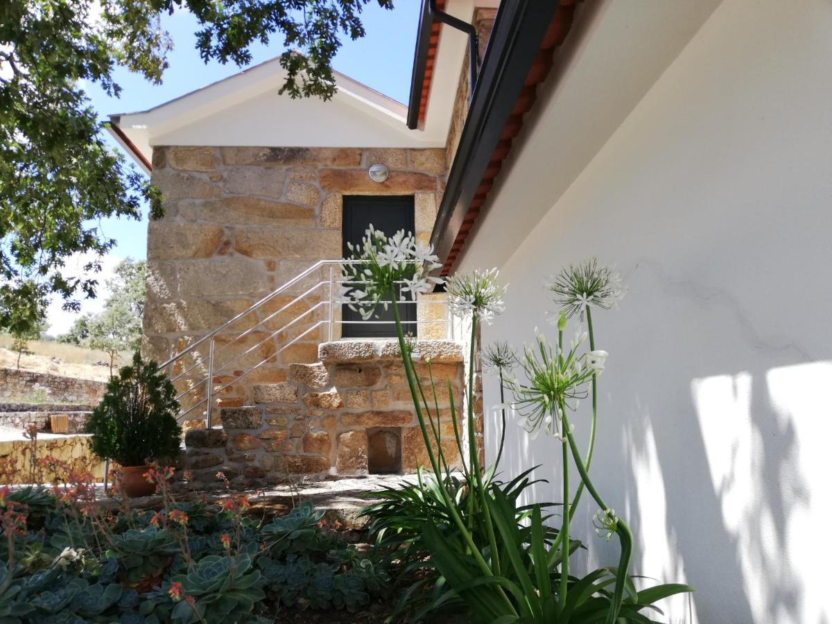 Quinta Dos Carvalhais - Serra Da Estrela Fornos de Algodres Kültér fotó