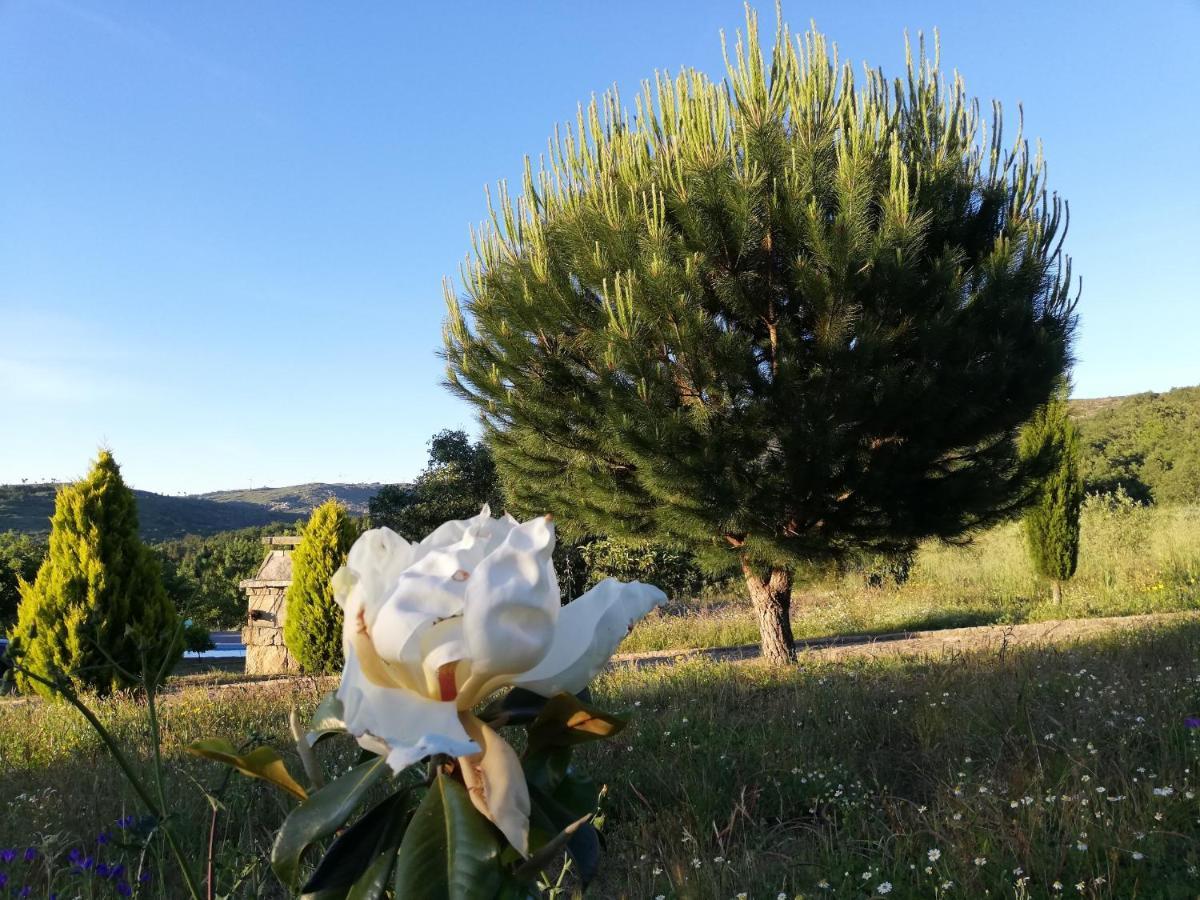 Quinta Dos Carvalhais - Serra Da Estrela Fornos de Algodres Kültér fotó