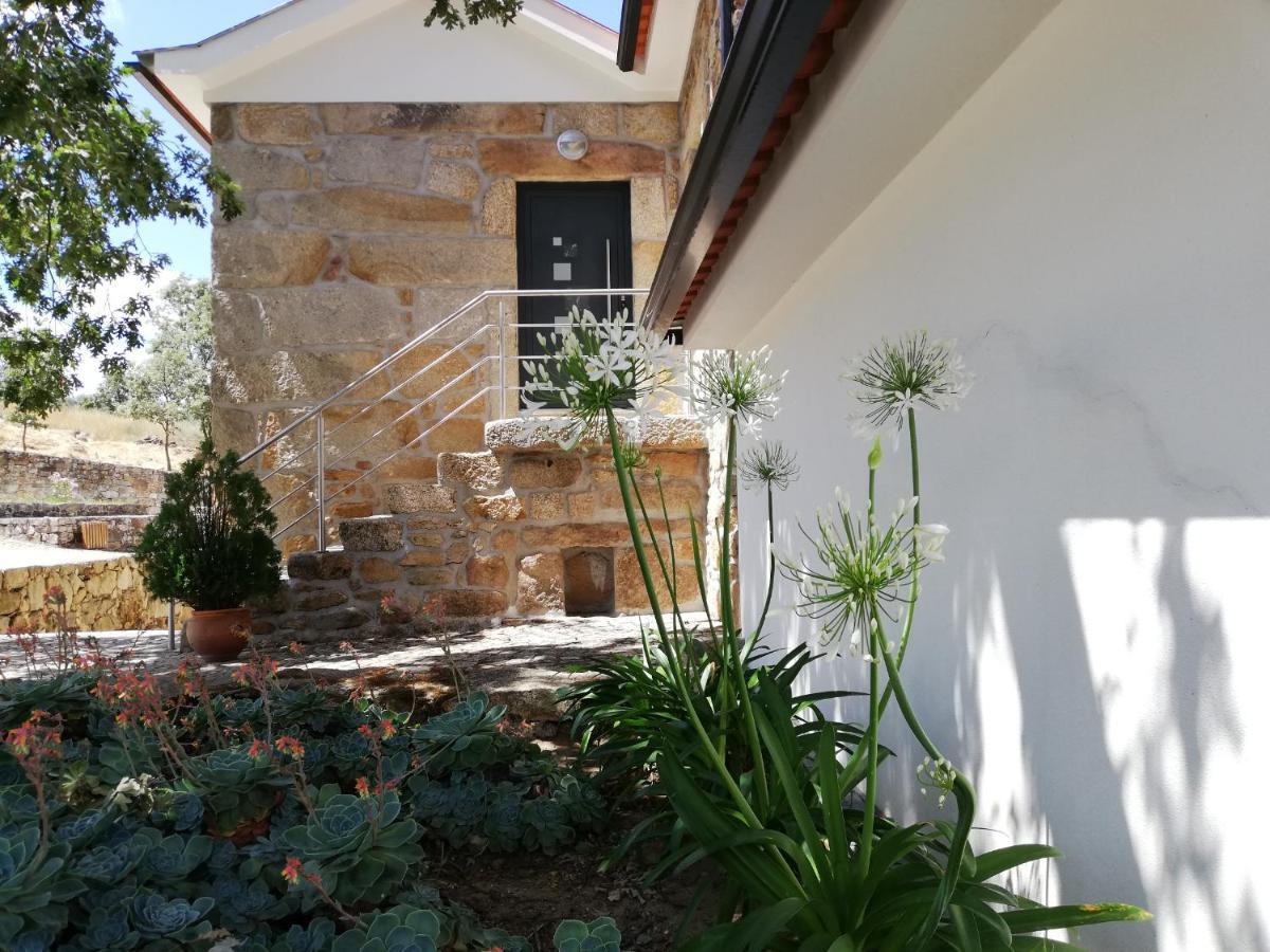 Quinta Dos Carvalhais - Serra Da Estrela Fornos de Algodres Kültér fotó
