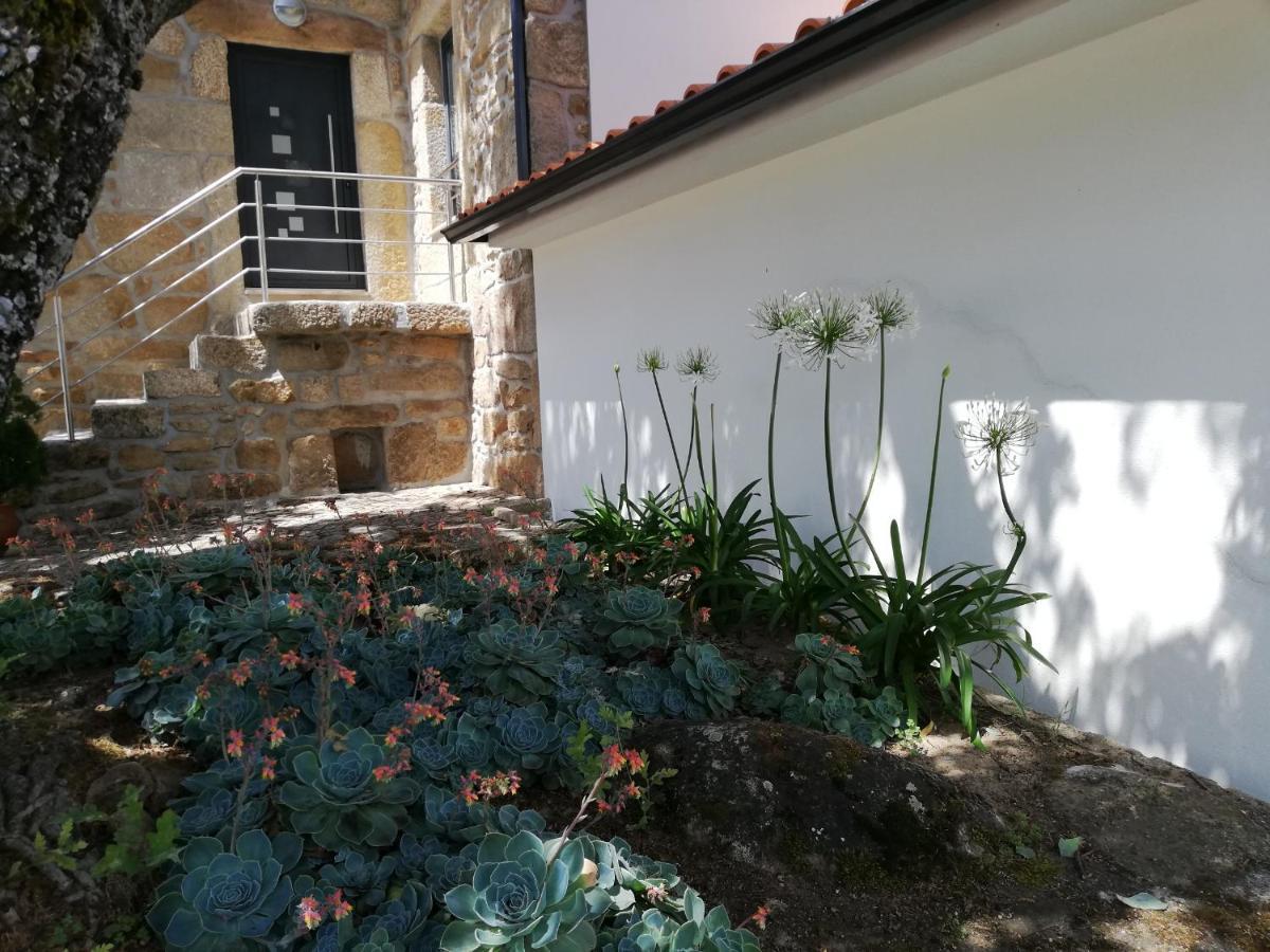 Quinta Dos Carvalhais - Serra Da Estrela Fornos de Algodres Kültér fotó