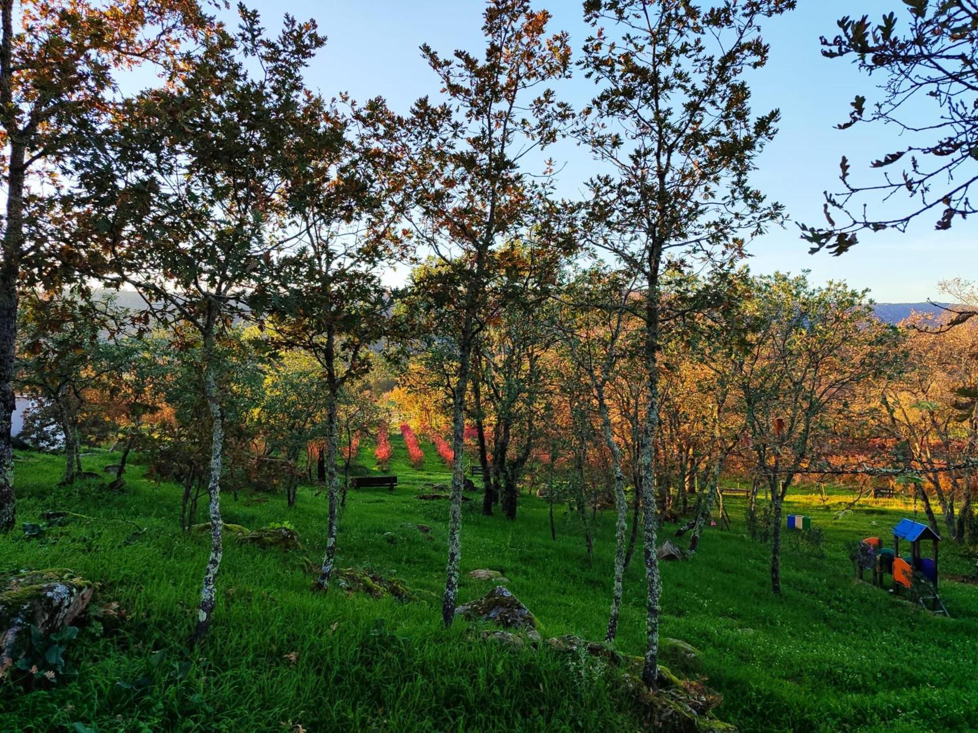 Quinta Dos Carvalhais - Serra Da Estrela Fornos de Algodres Kültér fotó