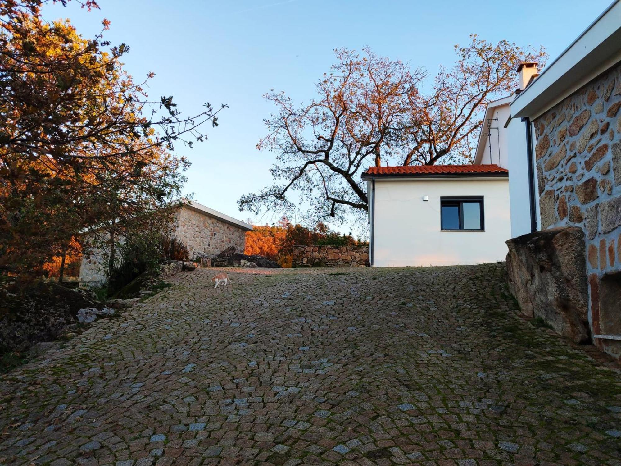 Quinta Dos Carvalhais - Serra Da Estrela Fornos de Algodres Kültér fotó