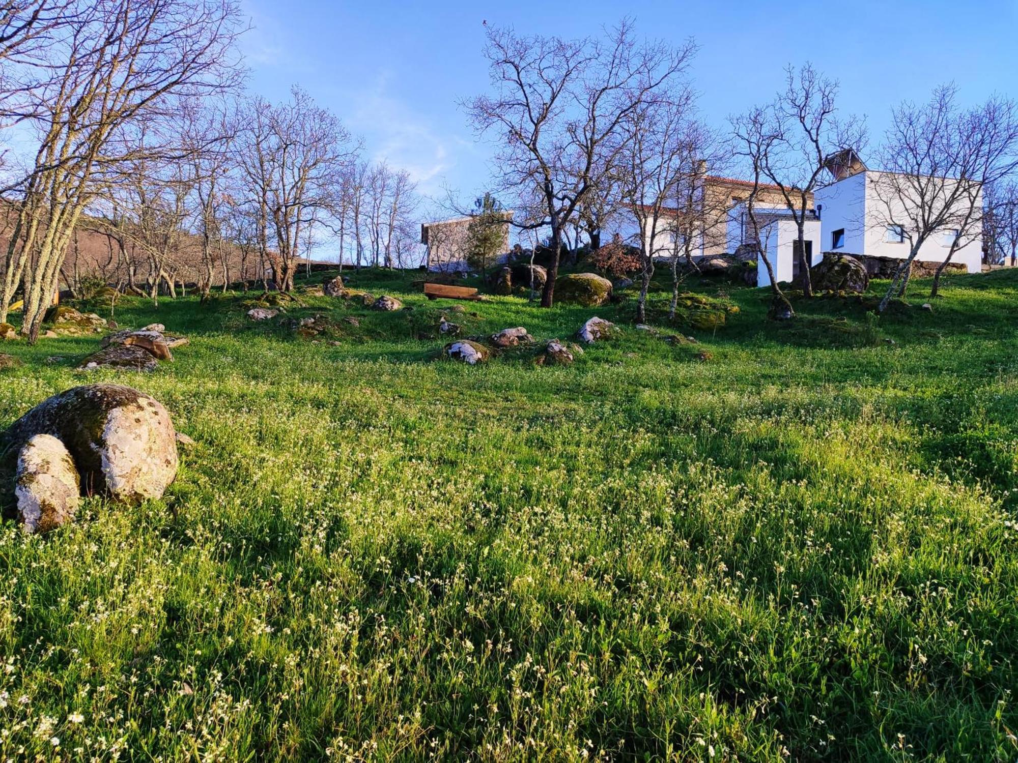 Quinta Dos Carvalhais - Serra Da Estrela Fornos de Algodres Kültér fotó