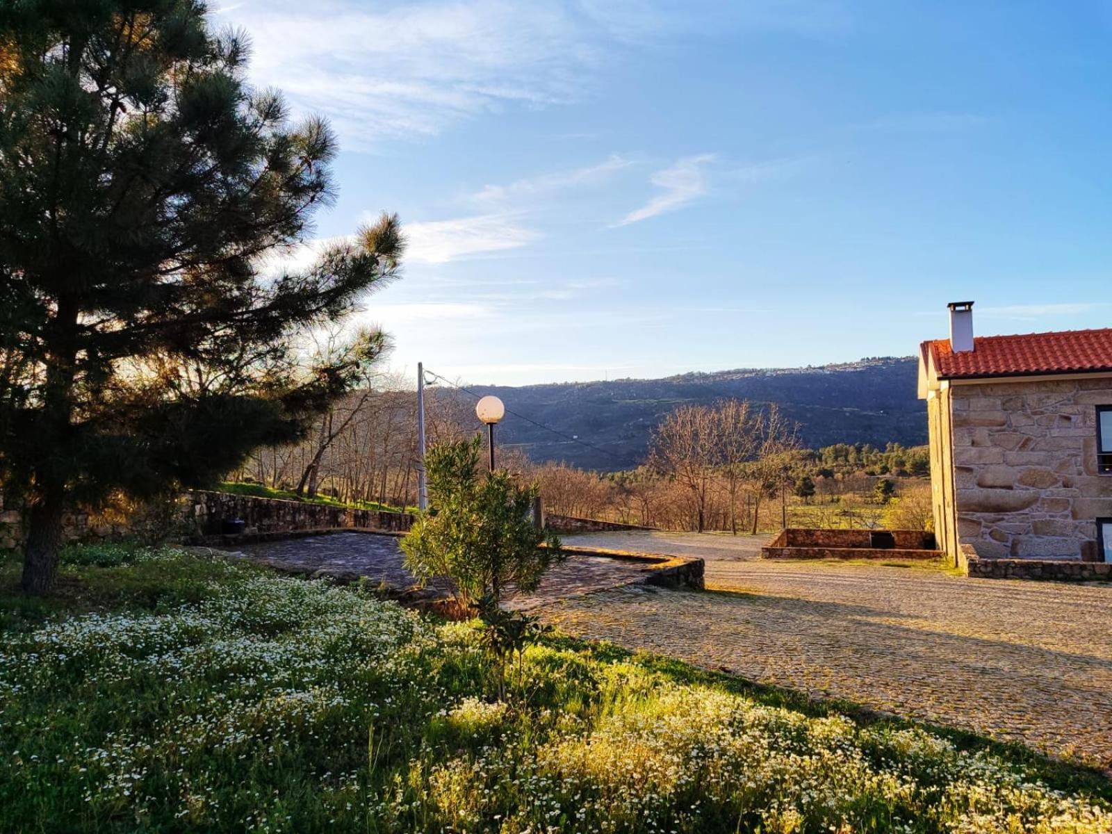 Quinta Dos Carvalhais - Serra Da Estrela Fornos de Algodres Kültér fotó