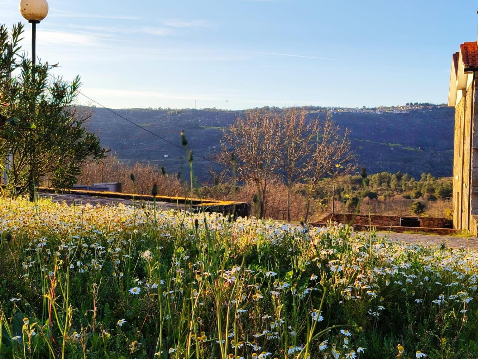 Quinta Dos Carvalhais - Serra Da Estrela Fornos de Algodres Kültér fotó