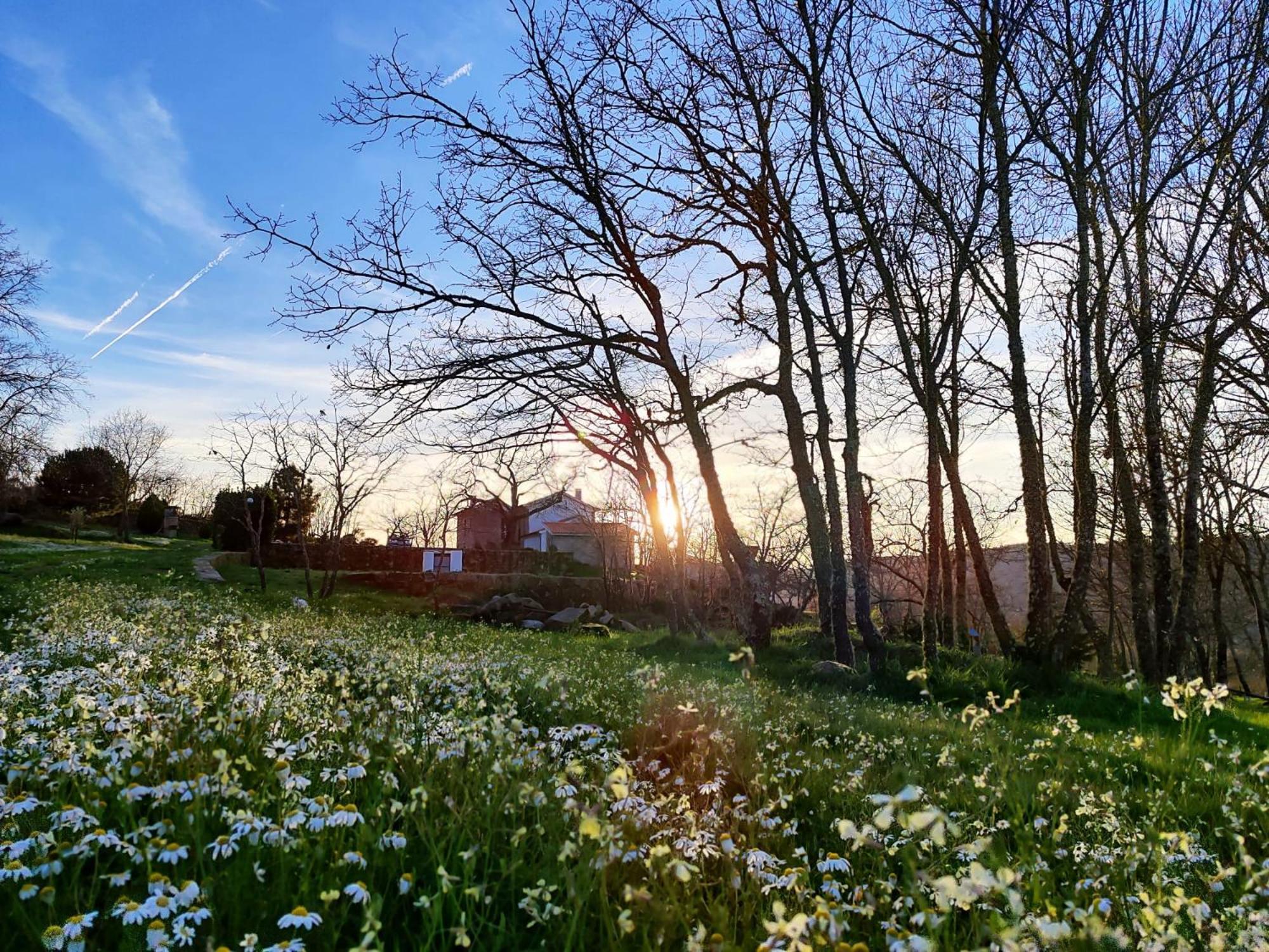 Quinta Dos Carvalhais - Serra Da Estrela Fornos de Algodres Kültér fotó