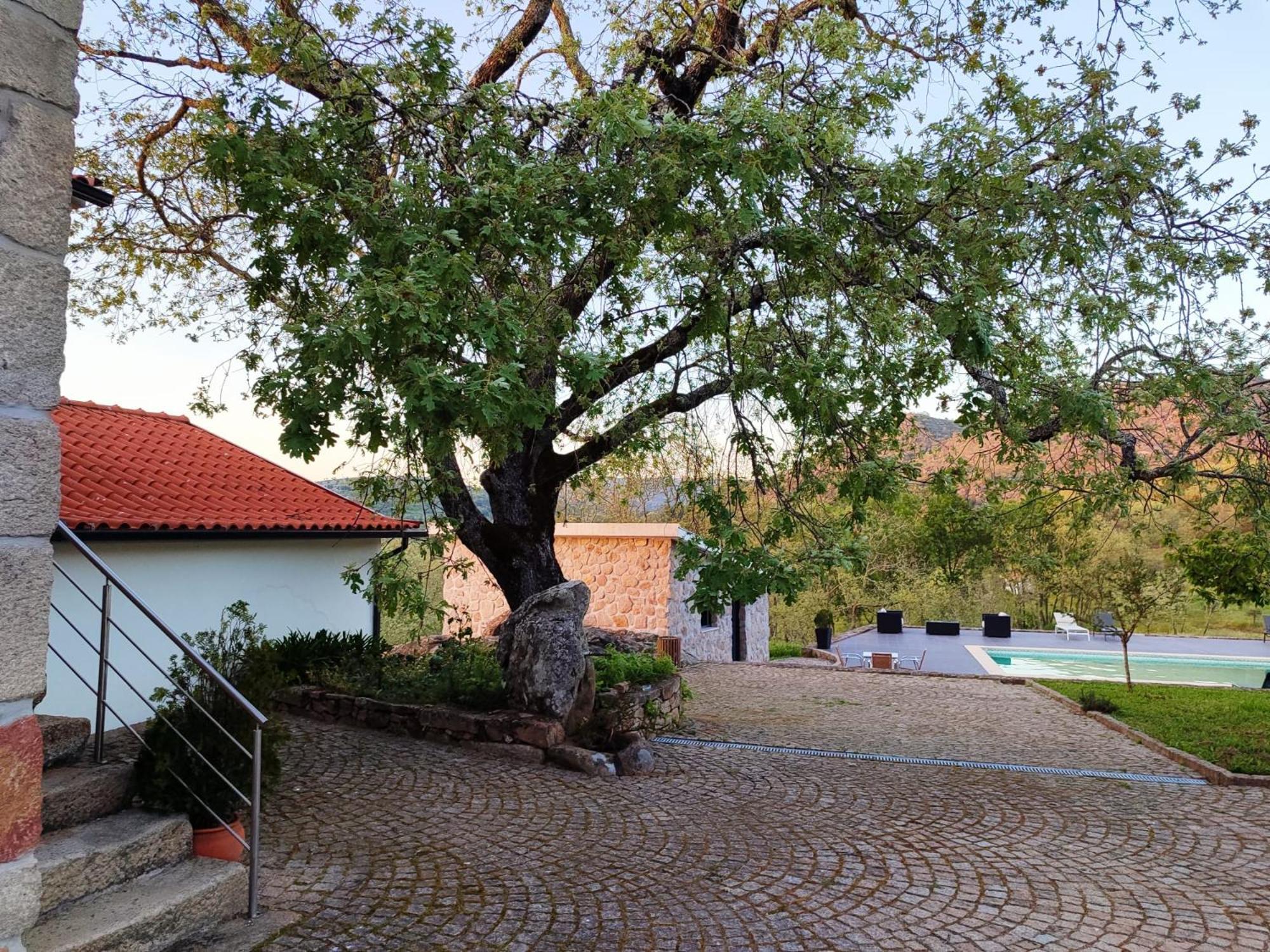 Quinta Dos Carvalhais - Serra Da Estrela Fornos de Algodres Kültér fotó